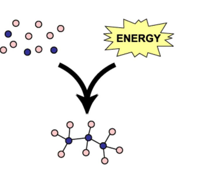 <p>Series of reactions that consume energy to build complicated molecules from simpler ones.</p>