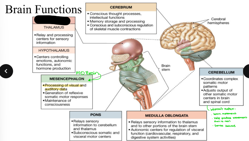 <p>What part is blacked out?</p>