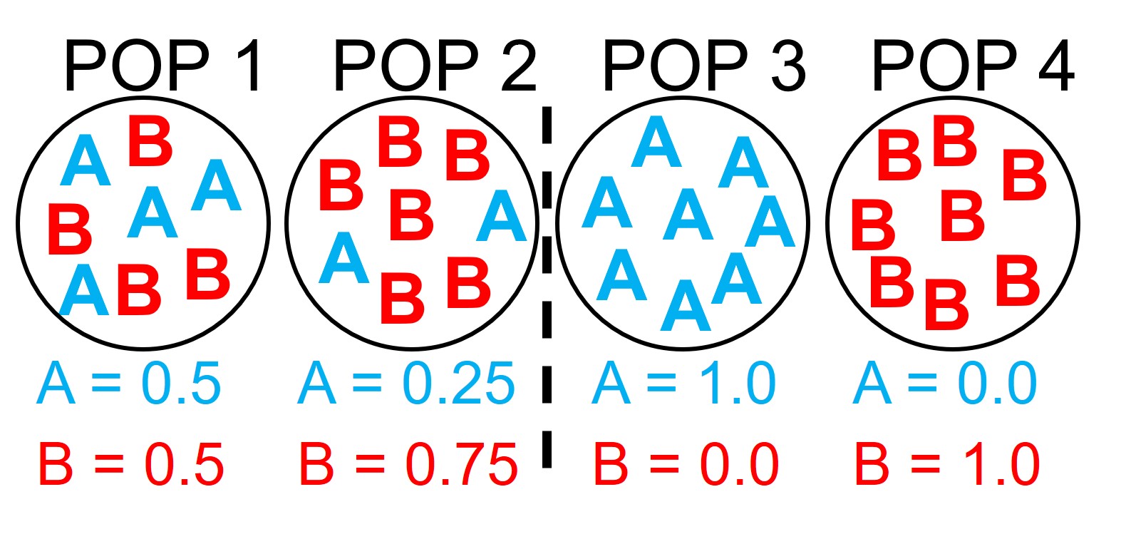 <p><strong>Fixed Frequency</strong></p>