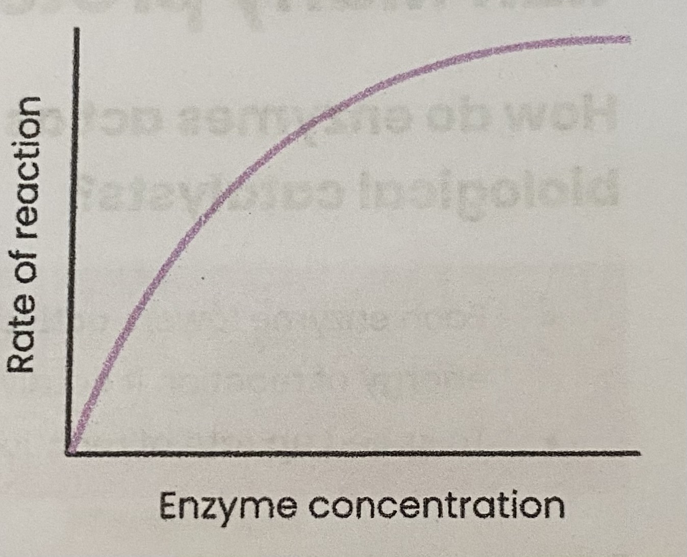 <ul><li><p>As enzyme conc increases, rate of reaction <strong>increases</strong></p><p>&gt; <strong>enzyme conc</strong>= <strong>limiting factor</strong> (excess substrate)</p><p>&gt; more enzymes so more available <strong>active sites</strong></p><p>&gt; so more <strong>E-S complexes </strong>form </p></li><li><p>At a certain point, rate of reaction <strong>stops increasing/ levels off</strong></p><p>&gt; <strong>substrate conc.</strong>= <strong>limiting factor </strong>(all substrates in use)</p></li></ul><p></p>