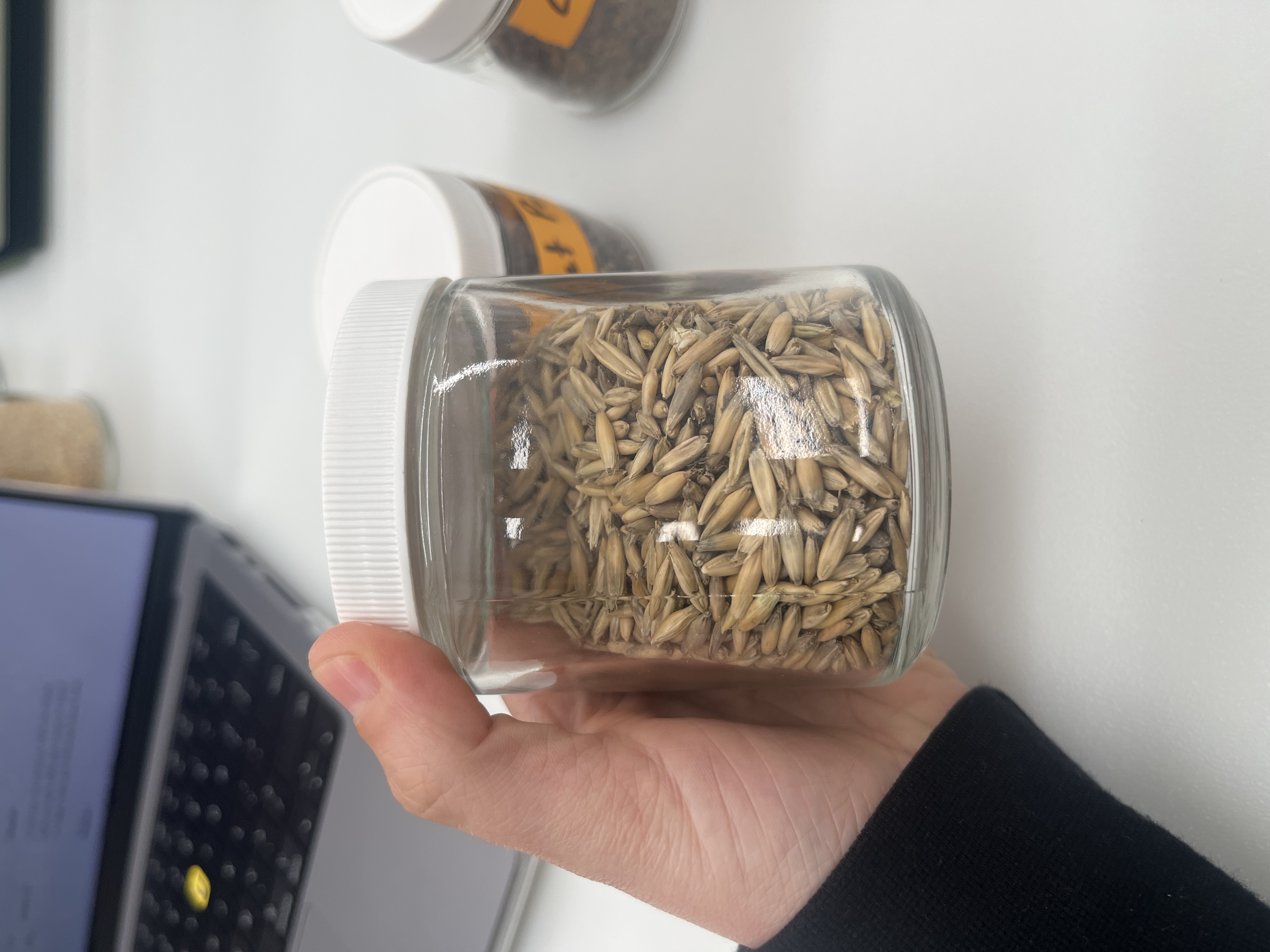 <p>what feed is this?</p>
