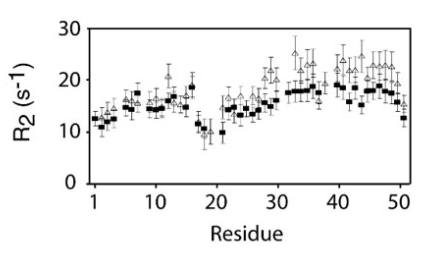 Plot T2 (1/R2) data as a function of residue​
Triangles: phosphorylated protein​
Squares: unphosphorylated protein​