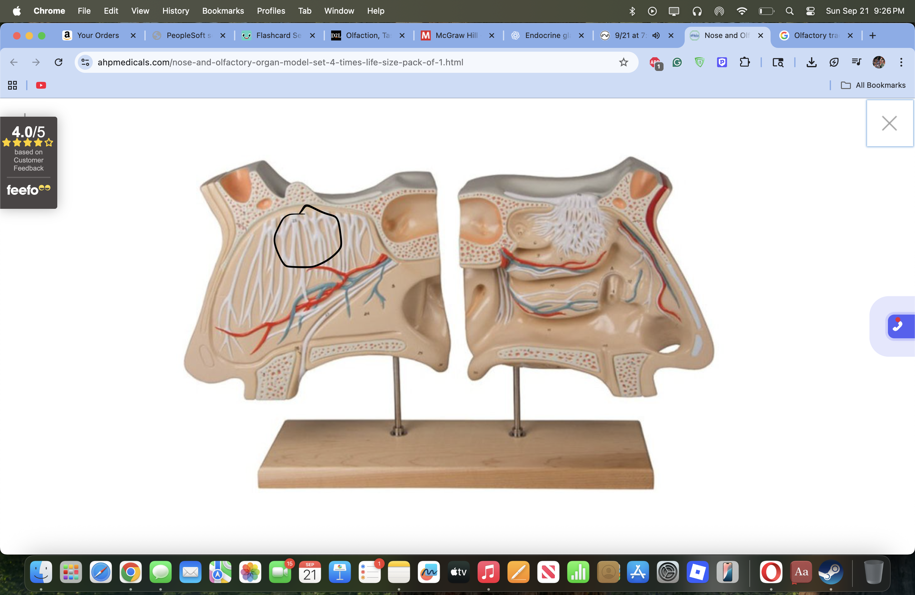 knowt flashcard image