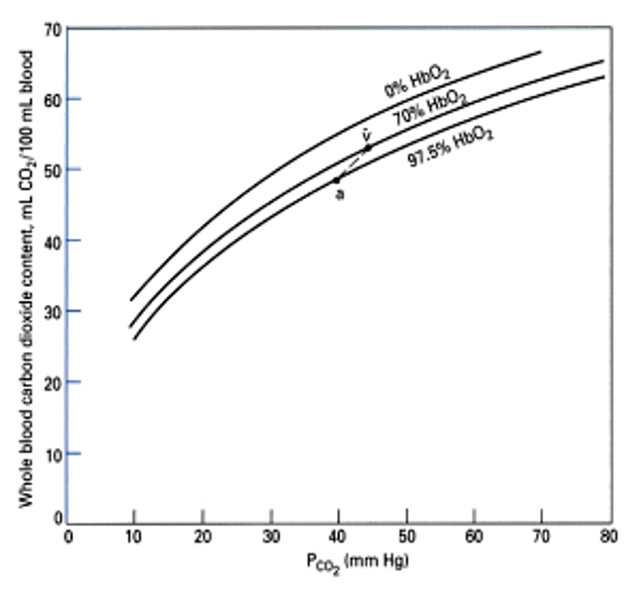<p>-Deoxygenated Hb has greater affinity for CO2, more readily forms carbamino Hb</p><p>-As hemoglobin releases O2 at tissues, more likely to pick up CO2</p><p>-At the lungs, high PCO2 causes CO2 to unload more easily</p>