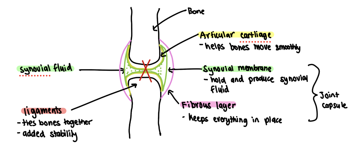 knowt flashcard image