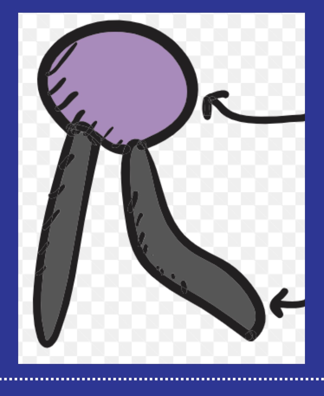 <p><span>Looking at the image of the phospholipid, which part is polar (hydrophilic) and which part is nonpolar (hydrophobic</span></p>