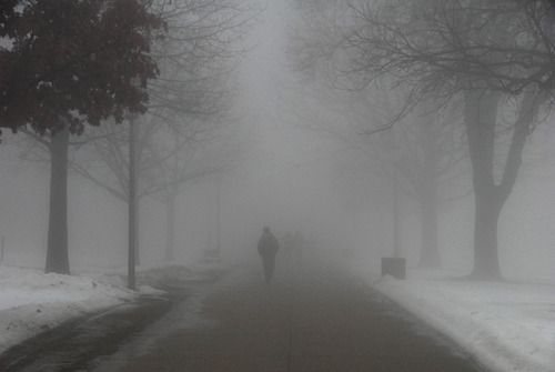fog