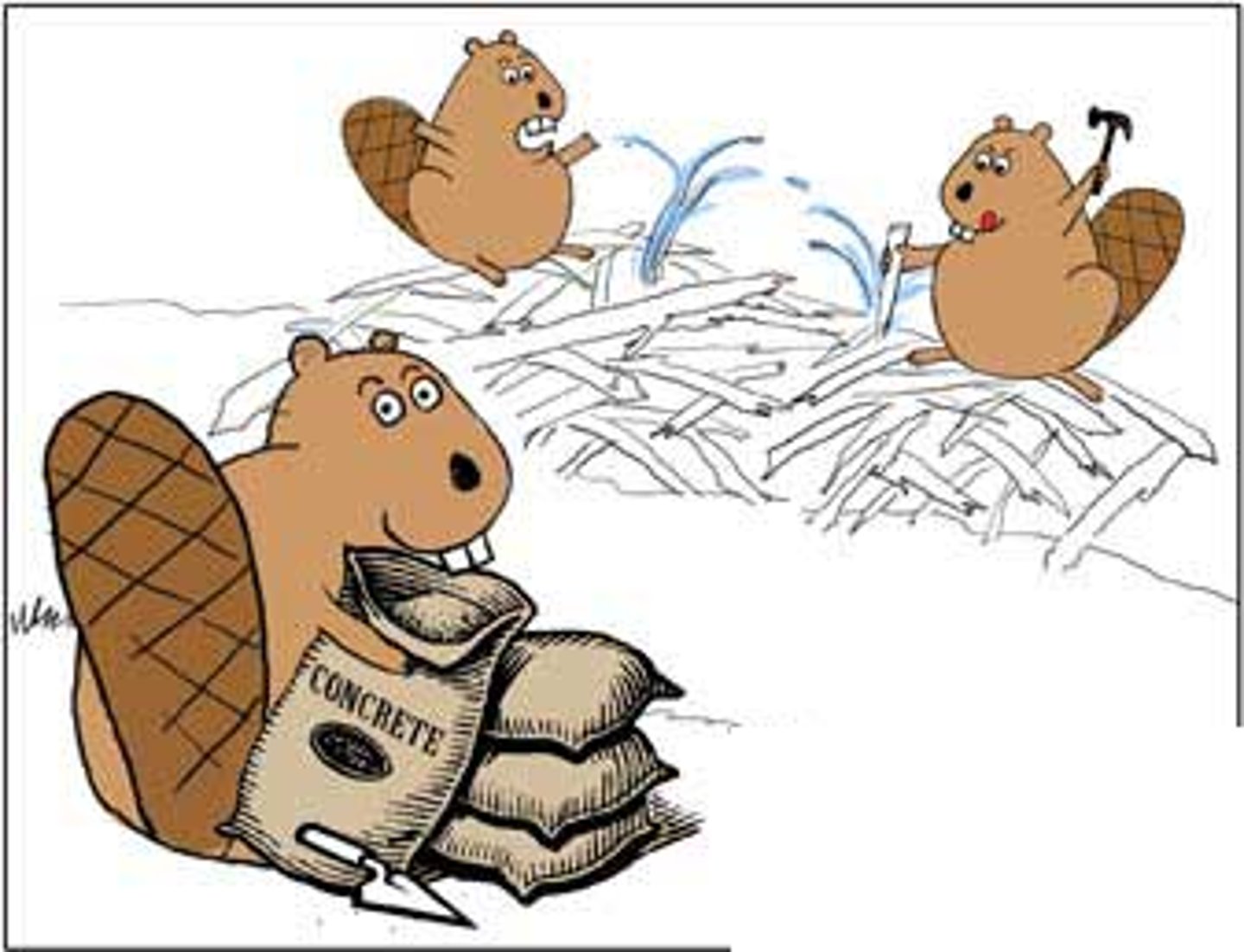<p>the function of a species serves in its ecosystem including what it eats, what eats it and how it behaves</p>