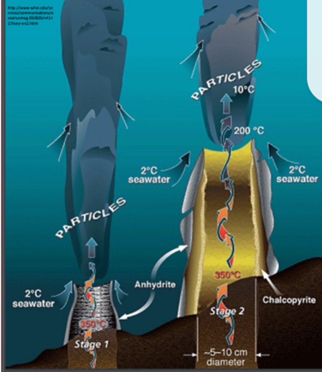 <p>· Seawater enters the cracks on the seafloor, gets heated, then is jetted out at high speeds carrying volcanic gases/minerals that solidify when cooled, forming chimney-like structures</p>