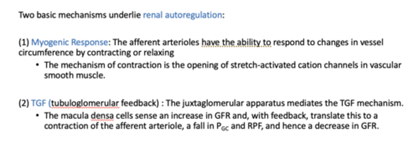 <p>- Renal myogenic response of the smooth muscle of the afferent arterioles, </p><p>- Tubuloglomerular feedback (TGF) mechanism</p>