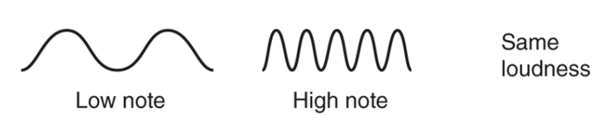 <p>Determined by frequency of vibrations. How low and high the note is.</p>