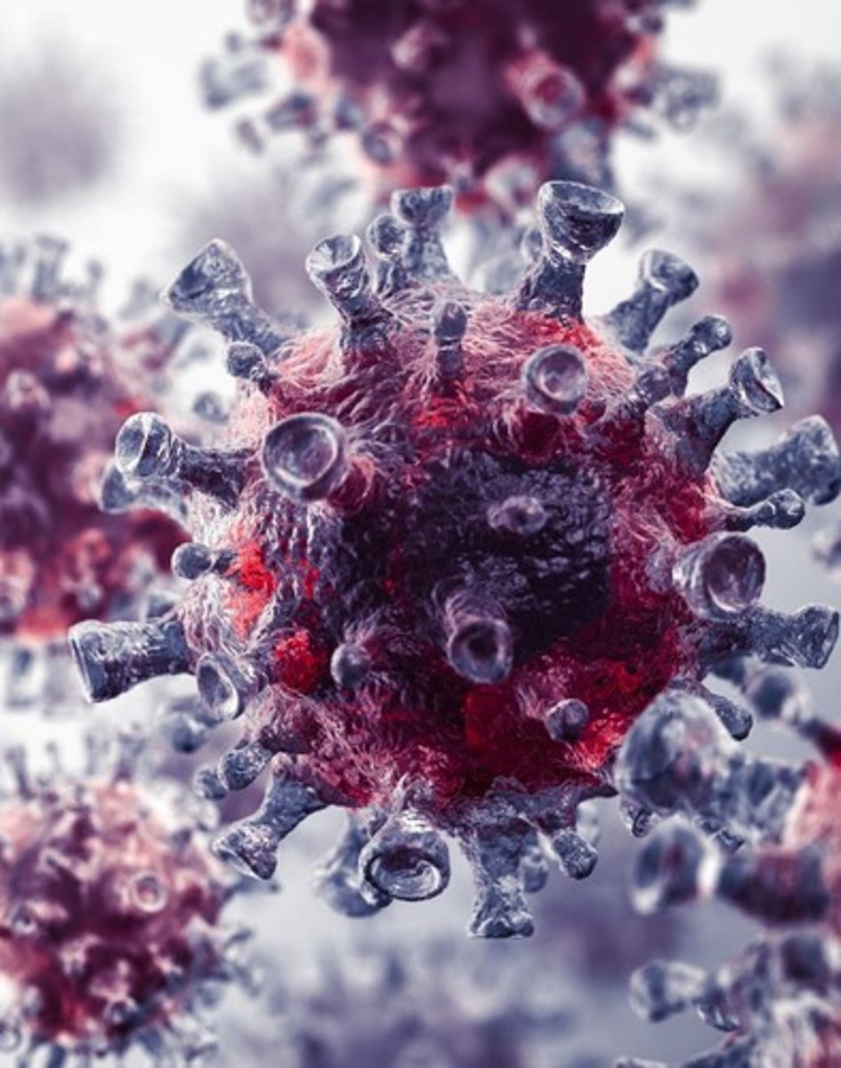 <p>Because viruses dont have Cells</p>