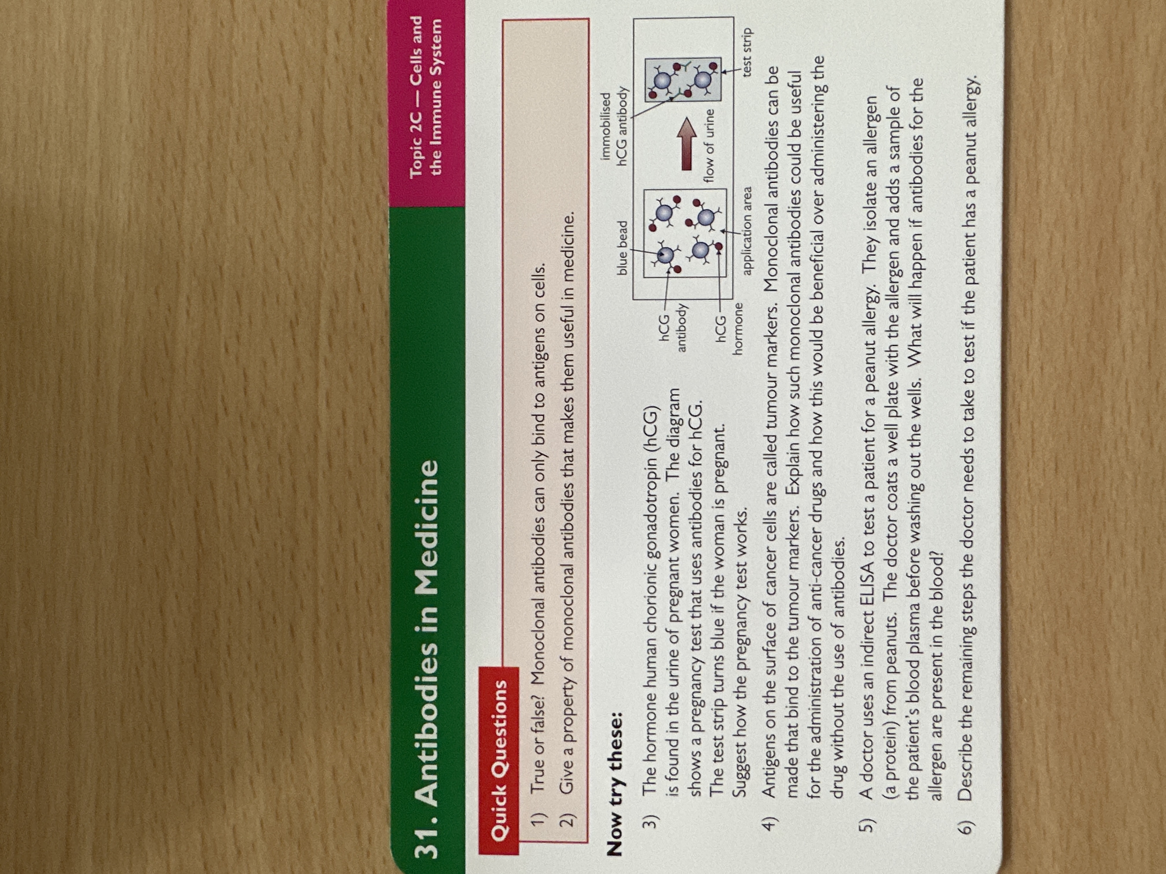 Antibodies in medicine 