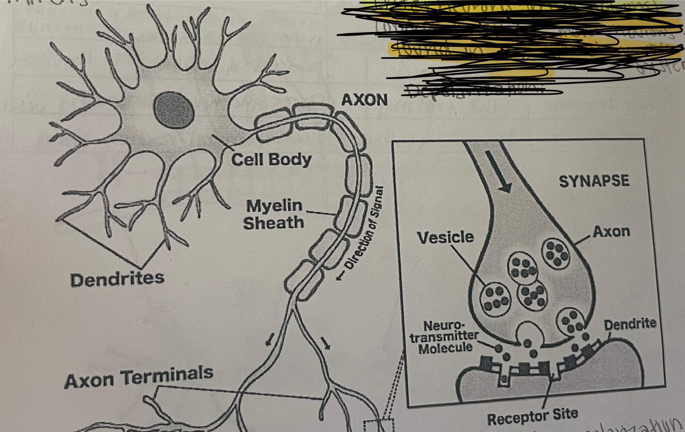 knowt flashcard image