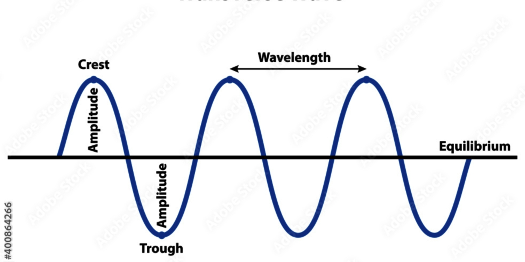 <p>Vibrations that are perpendicular to the direction of wave travel</p><p class="has-focus">E.g. Water, light, and all electromagnetic waves</p>