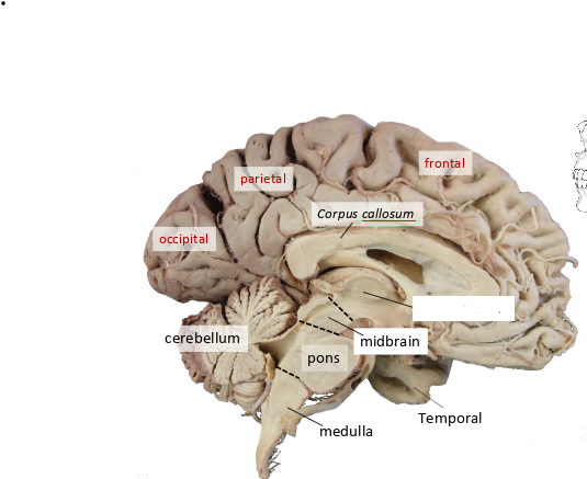 <p>what is this? </p>