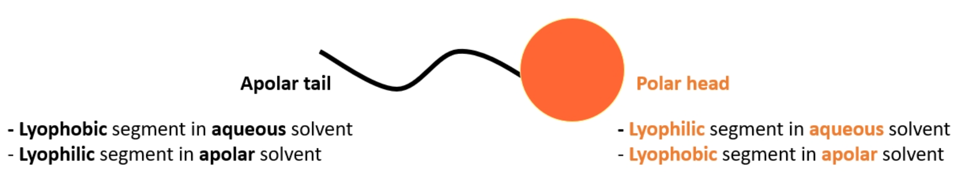 <p>lyophilic, as there will always be a part of the molecule that likes the continuous phase, it will just flip depending on medium (polar head inside and nonpolar tails outside in a oil, and vice-versa in water)</p><p></p><p>They also have spontaneous formation (when above a minimal concentration (CMC))</p><p>And thermodynamic stability (up to a point)</p>