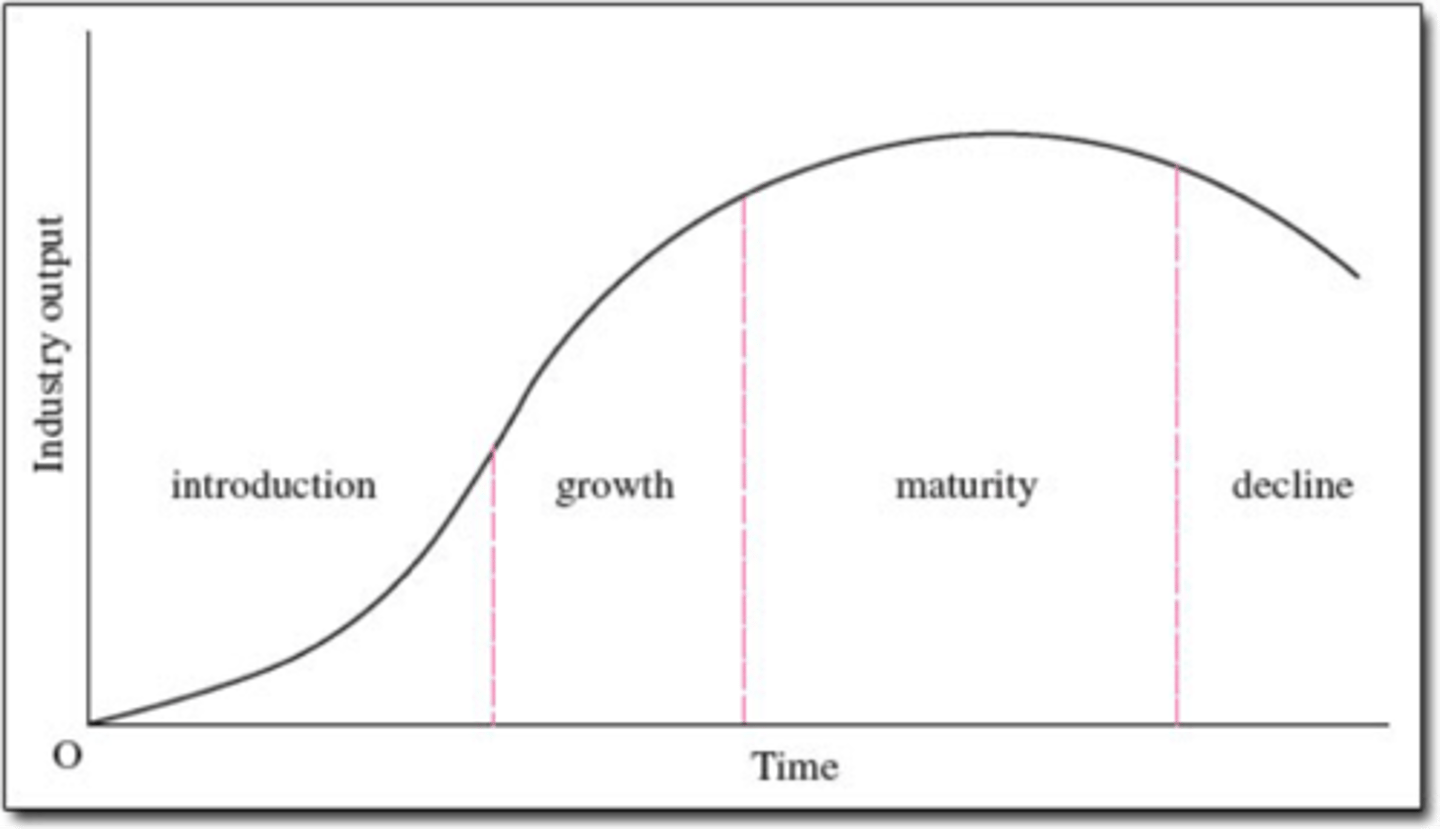 <p>1. Introduction</p><p>2. Growth: Demand rises, competition increases.</p><p>3. Shakeout= weak comp leaves, strong ones dominate</p><p>4. Maturity: Market stabilizes, competition peaks.</p><p>5. Decline</p>