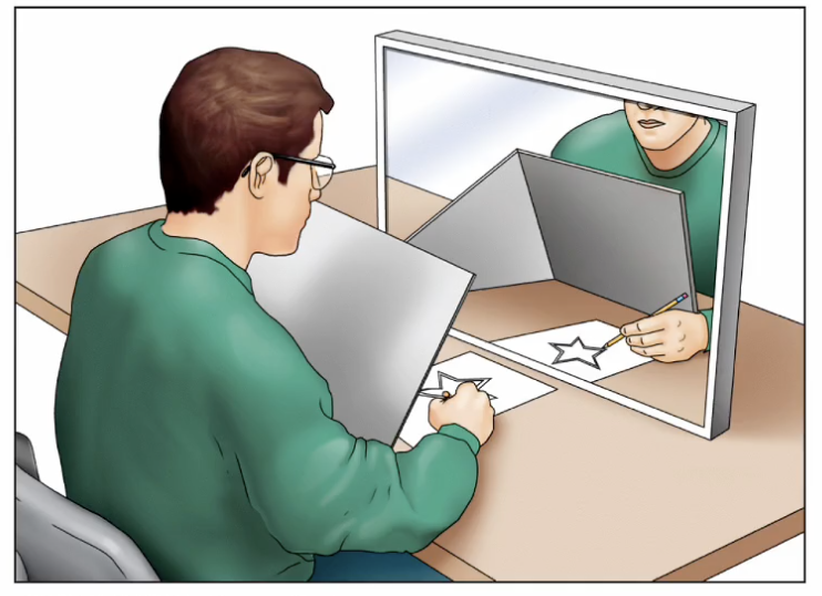 mirror tracing task