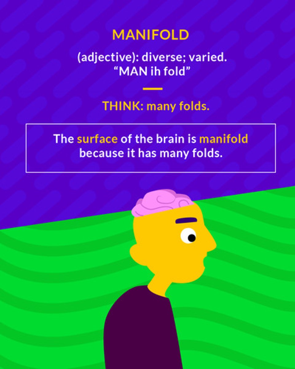 <p>(adj.) diverse, varied</p>