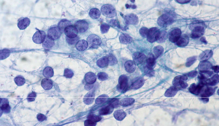 <p>describe features</p>