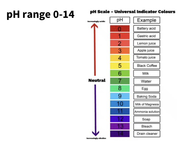 <p><span><span>From about 1 mol/L for a strong acid, down to 1 × 10⁻¹⁴ mol/L for a strong base.</span></span></p><p><span><span><br>pH range 0-14</span></span></p>
