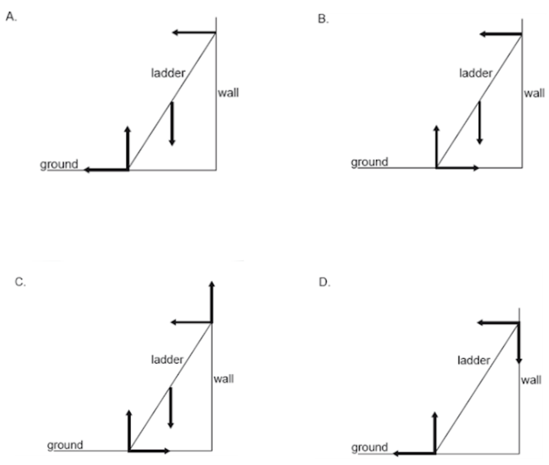 <p><span>A uniform ladder resting in equilibrium on rough ground leans against a smooth wall. Which diagram correctly shows the forces acting on the ladder?</span></p>