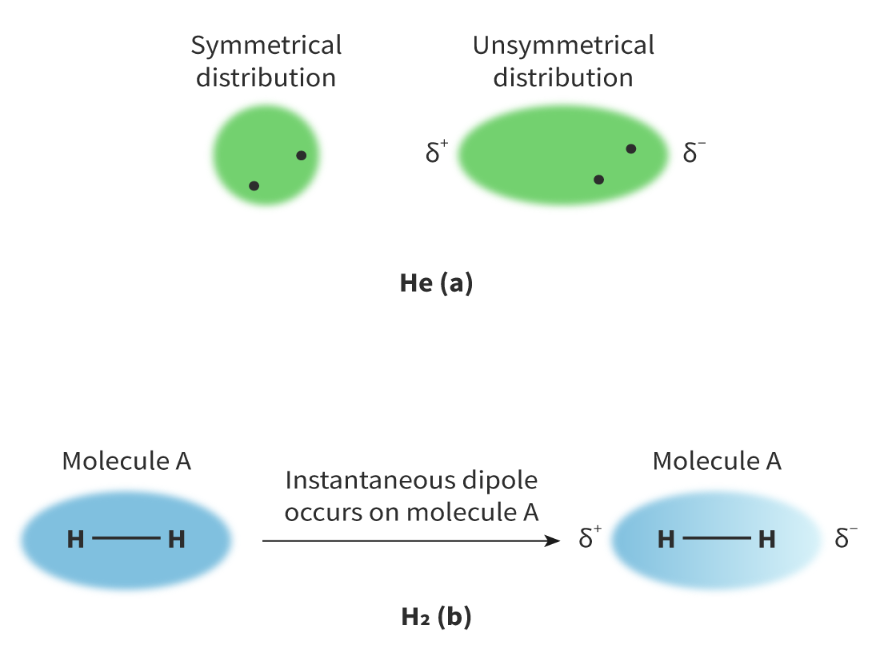 <p><span>the random, continuous movement of electrons can create asymmetrical electron distribution which causes attraction between neighbouring atoms or molecules. </span></p><p></p><p><span>London dispersion forces exist between </span><strong>all</strong><span> molecules, regardless of whether the electronegativity difference is very low or non-existent and even if other forces are also acting. They are the weakest type of intermolecular force.</span></p>