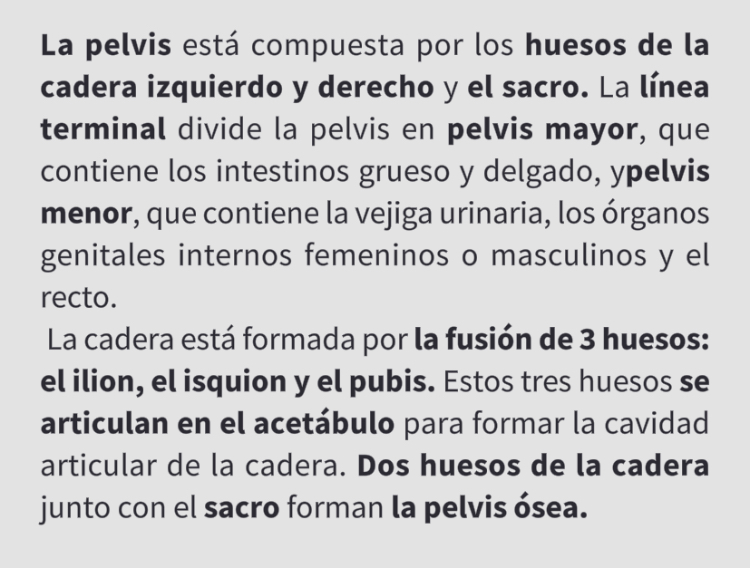 <p>Pelvis (Izquierda y Derecha)</p>