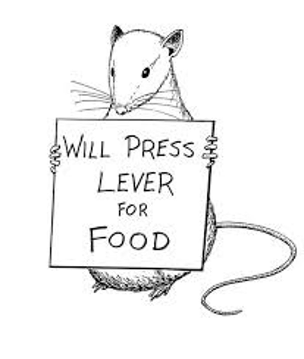 <p>focuses on observable behaviors and the environmental forces that shape those behaviors</p>