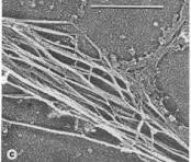 <p>What is this &amp; its function </p>