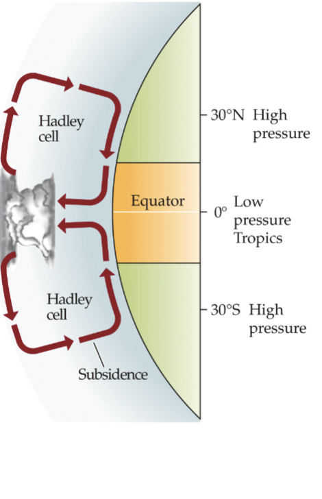 <p>Air is traveling up </p>