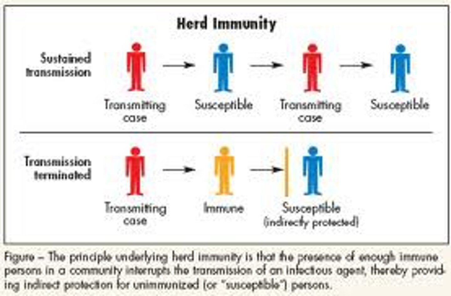 <p>resistance of a group to an infection due to a high proportion of the group being immune</p>