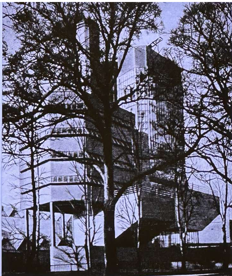 term image