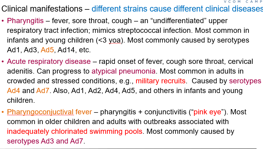 <p><strong>Pharyngoconjunctival fever</strong> – a combination of pharyngitis and conjunctivitis (“pink eye”). Commonly caused by <strong>Ad3 and Ad7.</strong></p>
