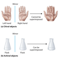 <ul><li><p>Superimposable</p></li><li><p>line of symmetry</p></li></ul>