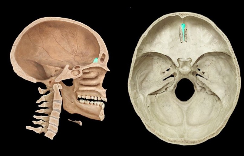 knowt flashcard image