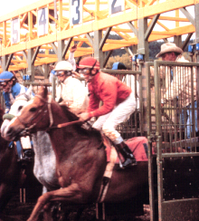 <p>Racing</p>