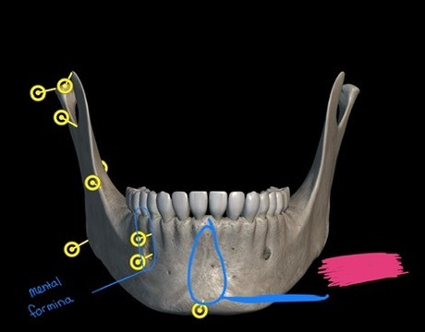 knowt flashcard image
