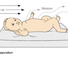 <p><span>moisture is converted to vapor</span><br><span>*this is why we dry them immediately after birth</span></p>
