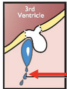 <p>what is happening here</p>