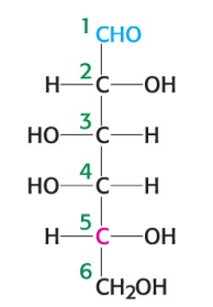 <p>What is the name of the sugar depicted in the image?</p>