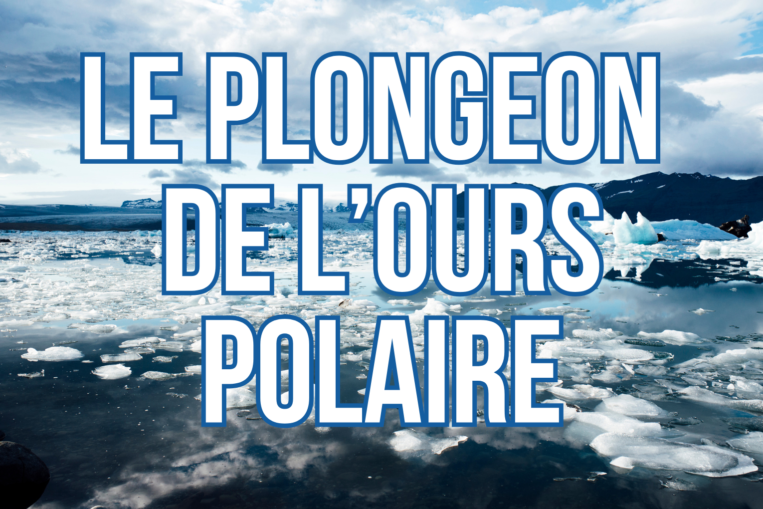 <p>le plongeon de l’ours polaire</p>