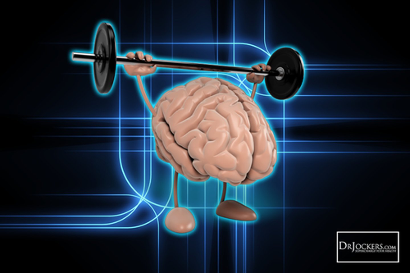 <p>(D) The Brain</p><p>The Brain utilizes about 20-25% of all the glucose you consume in a single day.</p>