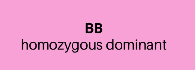 <p>the genetic label of a trait</p>