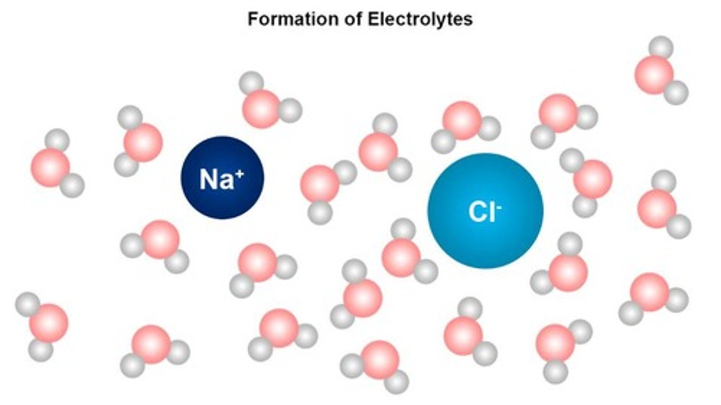 <p>Ions dissolved in water or body fluids.</p>