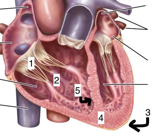 <p>3</p>