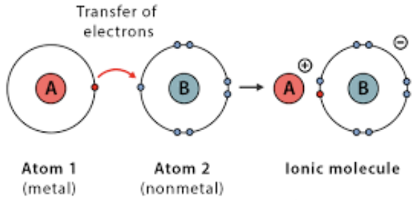 <p>The electrostatic force that occurs when oppositely charged ions are attracted to each other, forming an ionic bond</p><p>Form when a metal atom (which tends to lose electrons to become a positive ion, or cation) and a nonmetal atom (which tends to gain electrons to become a negative ion, or anion) transfer electrons</p><p>The strong, permament electrostatic force of attraction that hold together oppositely charged molecules</p><p>Usually solids with high melting points due to the strong attractive forces between them</p>
