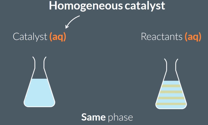 <p><span><span>a different phase from the reactants.</span></span></p><p><span>the same phase as the reactants.</span></p>