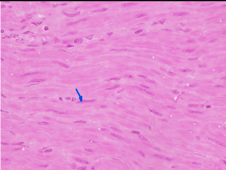 <p>What is this?</p>